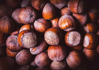 Hazelnuts