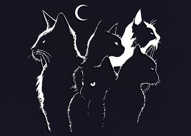 The Cats Shadows
