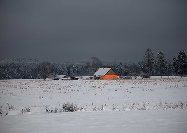 Orange house in winter
