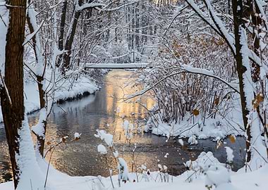 Winter snowy wild river