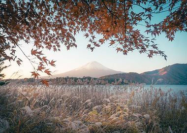 Mt Fuji and the Lake