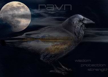 RAVN