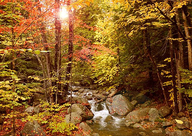 New England in the autumn