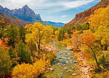 The Virgin River