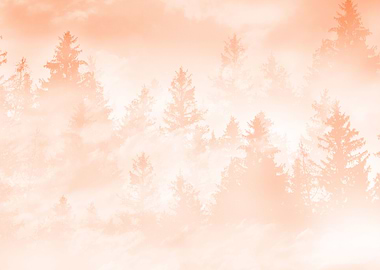 Peach Fuzz Forest Dream 1