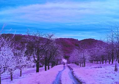 snow purple aesthetic