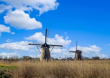 Windmills in Kinderdijk