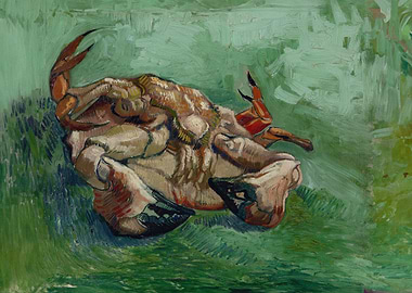Crab on Its Back