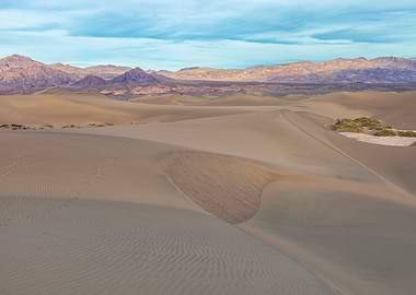 Mesquite Dunes
