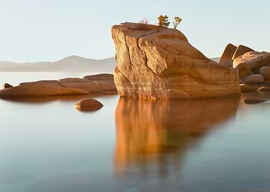 Bonsai Rock
