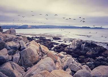 Pebble Beach