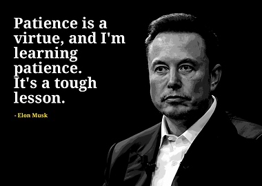 Elon Musk quotes