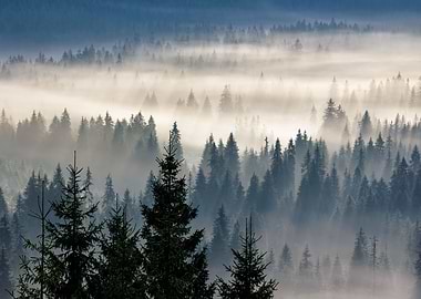 Yosemite Valley California