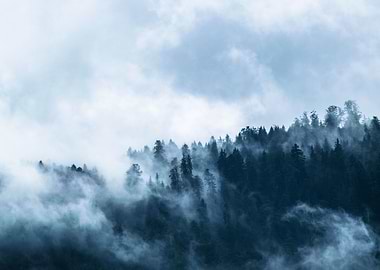 Mystical Misty Forest Scen