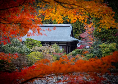 japan in autumn