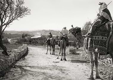 Bethlehem Camel Riders
