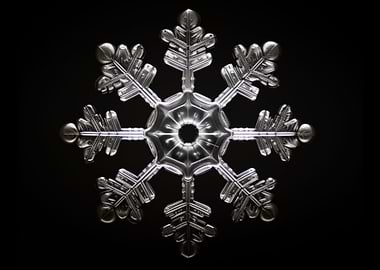 Beautiful Macro Snowflake