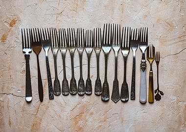 Forks