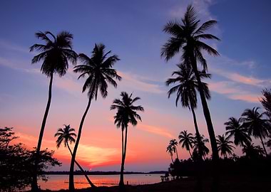 Tropical Twilight