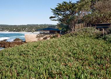 Carmel California Beach