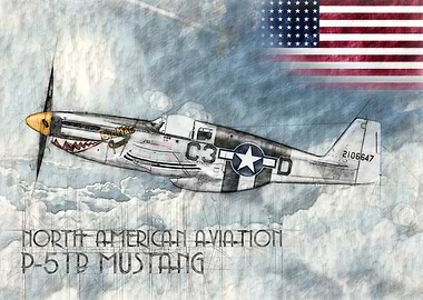 P51B Mustang