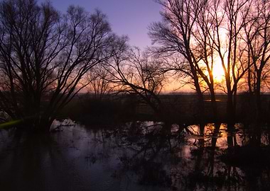 Sunset in an alluvial fore