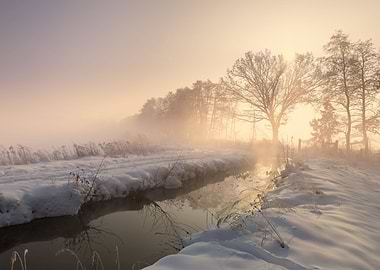 Winter landscape sunrise