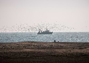 Bees over a honey jar
