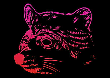 Colorful Racoon Zoophilist