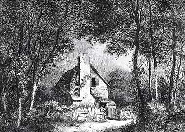 Cottage in the forest