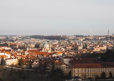 Citadel Skyline View