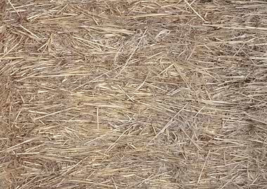 Hay bale texture closeup p