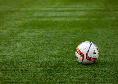 Soccer ball in grass poste