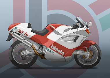 BIMOTA TESI 1D SR