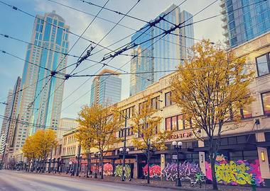 Street of Seattle