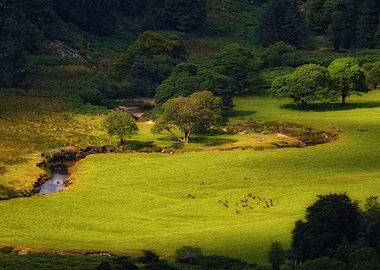 Above picturesque valley