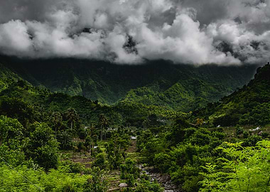 Rice paddies in Indonesia