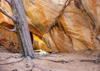 The Rocklands Climbing