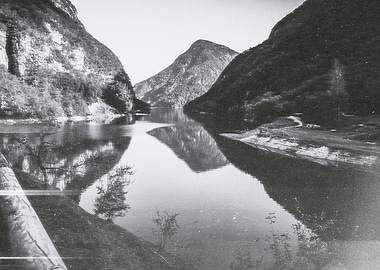 The beauty of nature