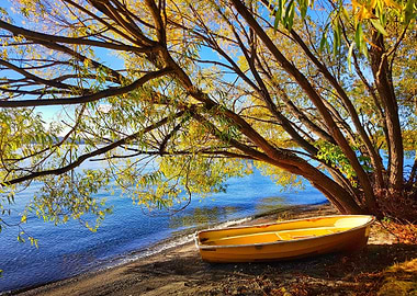 Adventure Destination