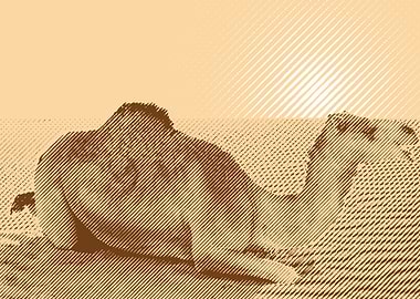 camel in halftone style