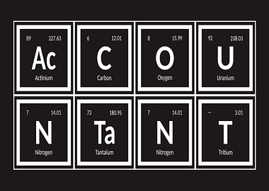 Accountant Elements