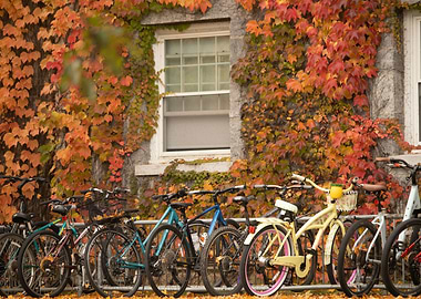 Bikes at Battell