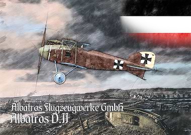 Albatros D II