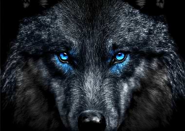 black wolf with blue eyes