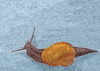 Snail mosaic