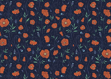 Poppies Garden Spring Nigh