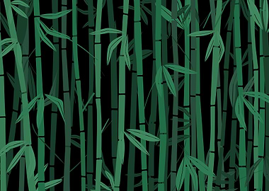 Bamboo forest