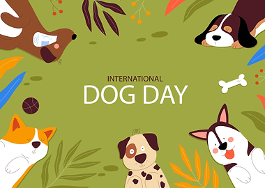 Animals Dog Day Best Art