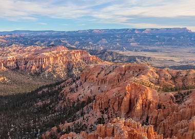 Morning At Bryce
